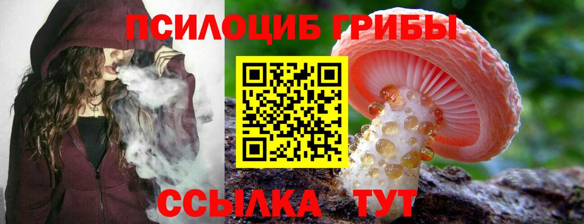 Псилоцибиновые грибы мухоморы Нововоронеж