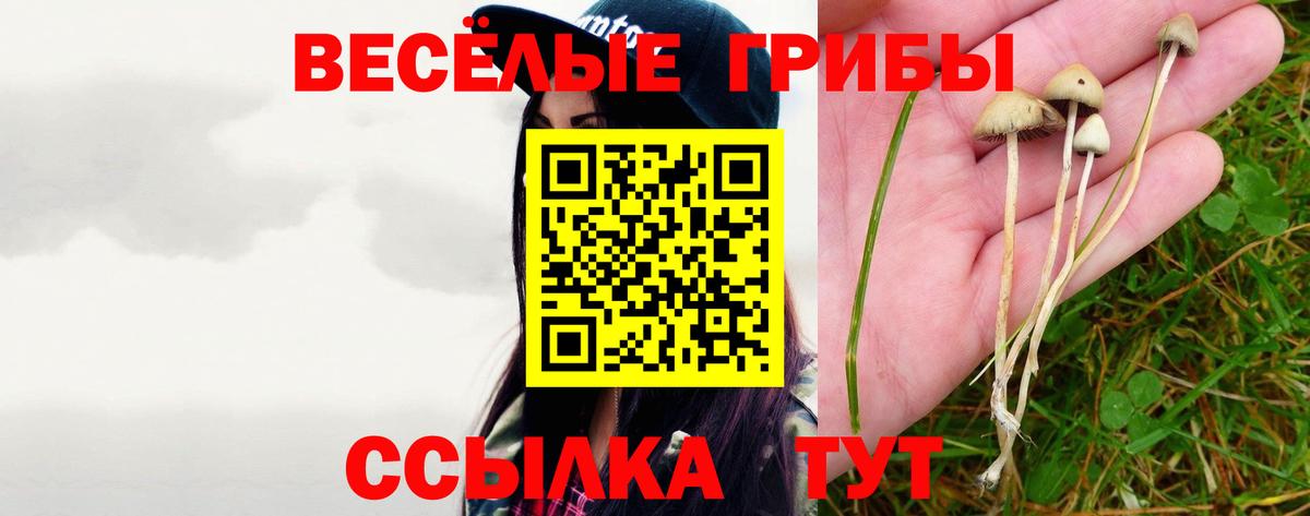 Нововоронеж  Псилоцибиновые грибы GOLDEN TEACHER  Вход с VPN  Галлюциногенные грибы прущие грибы 